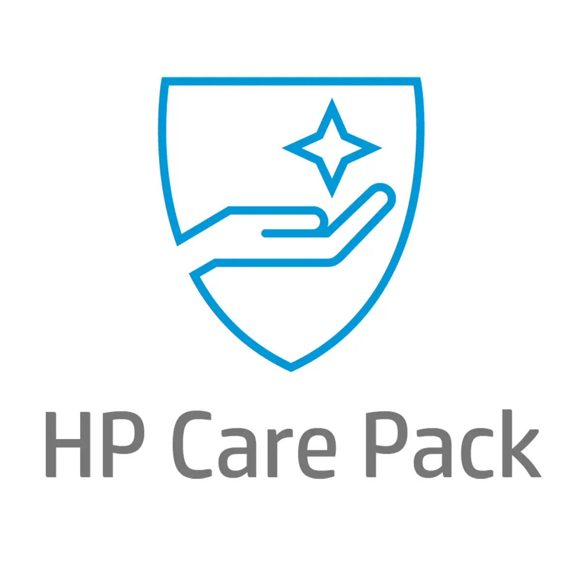 eCare Pack 12Plus 1 Jahr Vor-Ort Service am nächsten Arbeitstag für LaserJet 5200 Serie