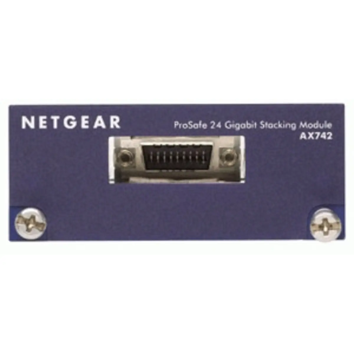 Prosafe 24Gbit Stacking Kit Plug-in-Modul Vollduplex-fähig