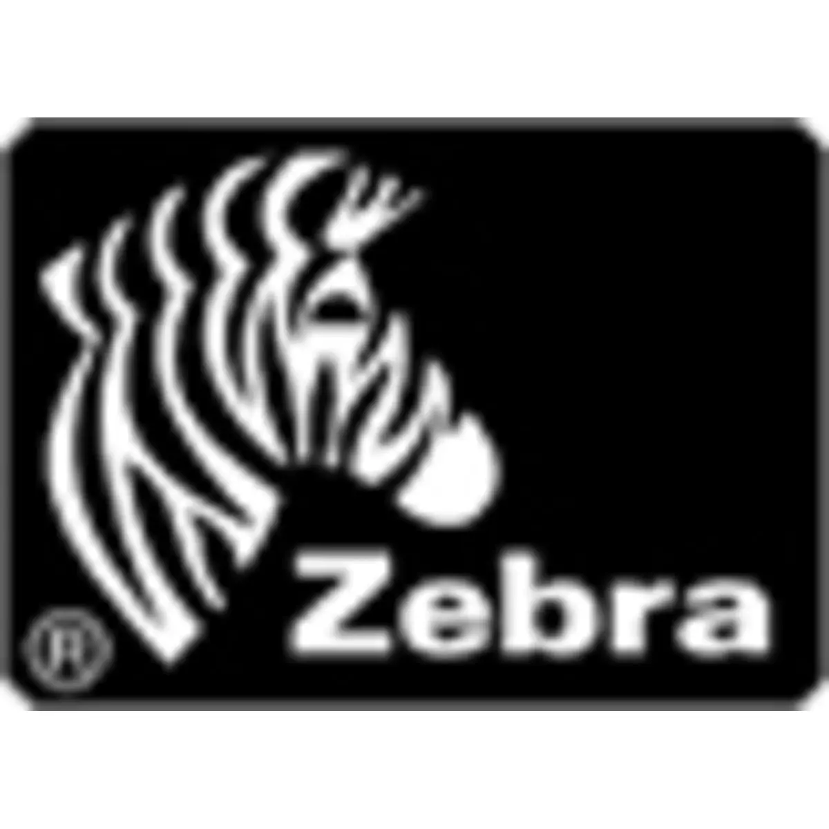 Z-Perform 1000T Papier permanenter Klebstoff unbeschichtet 51x76 mm 16440 Etikett(en) (6 Rolle(n)
