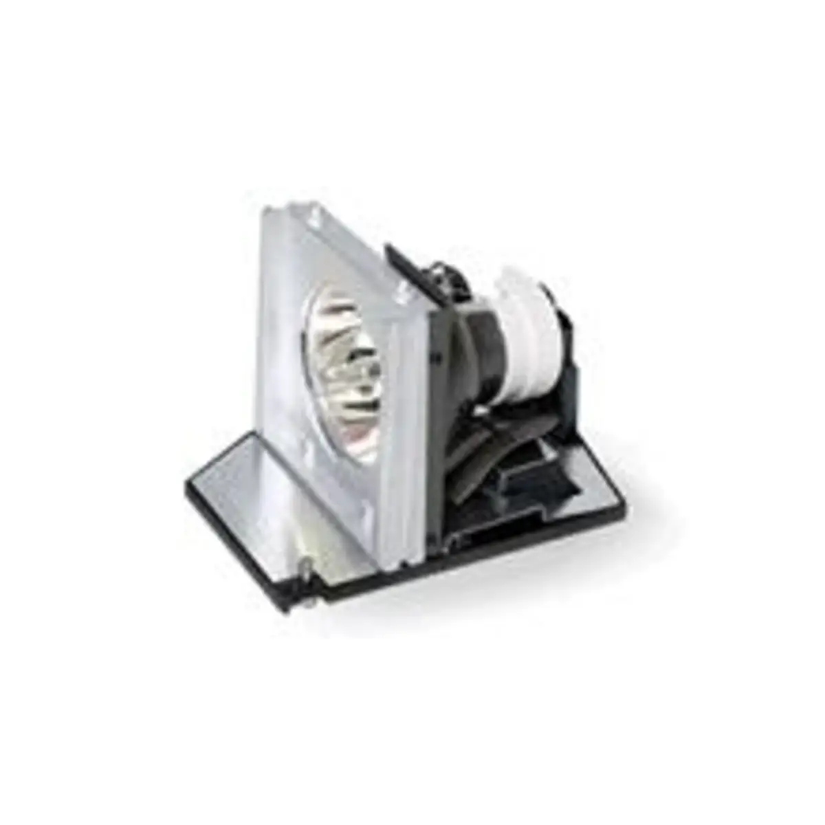 Ersatzlampe für P1100, P1100C, P1200, P1200i