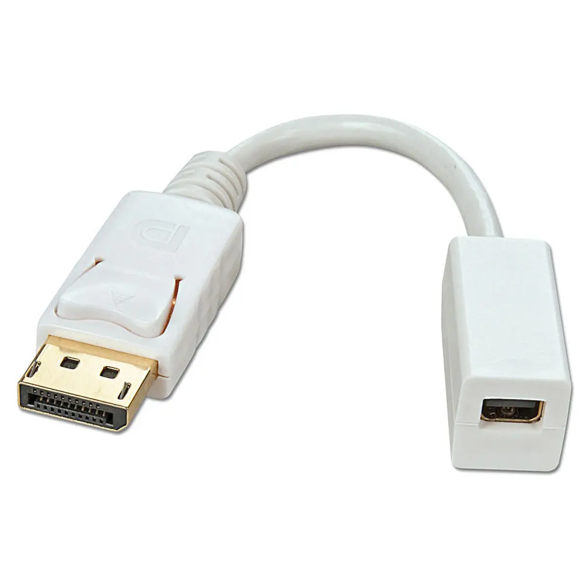 DisplayPort/Mini DisplayPort Adapter
