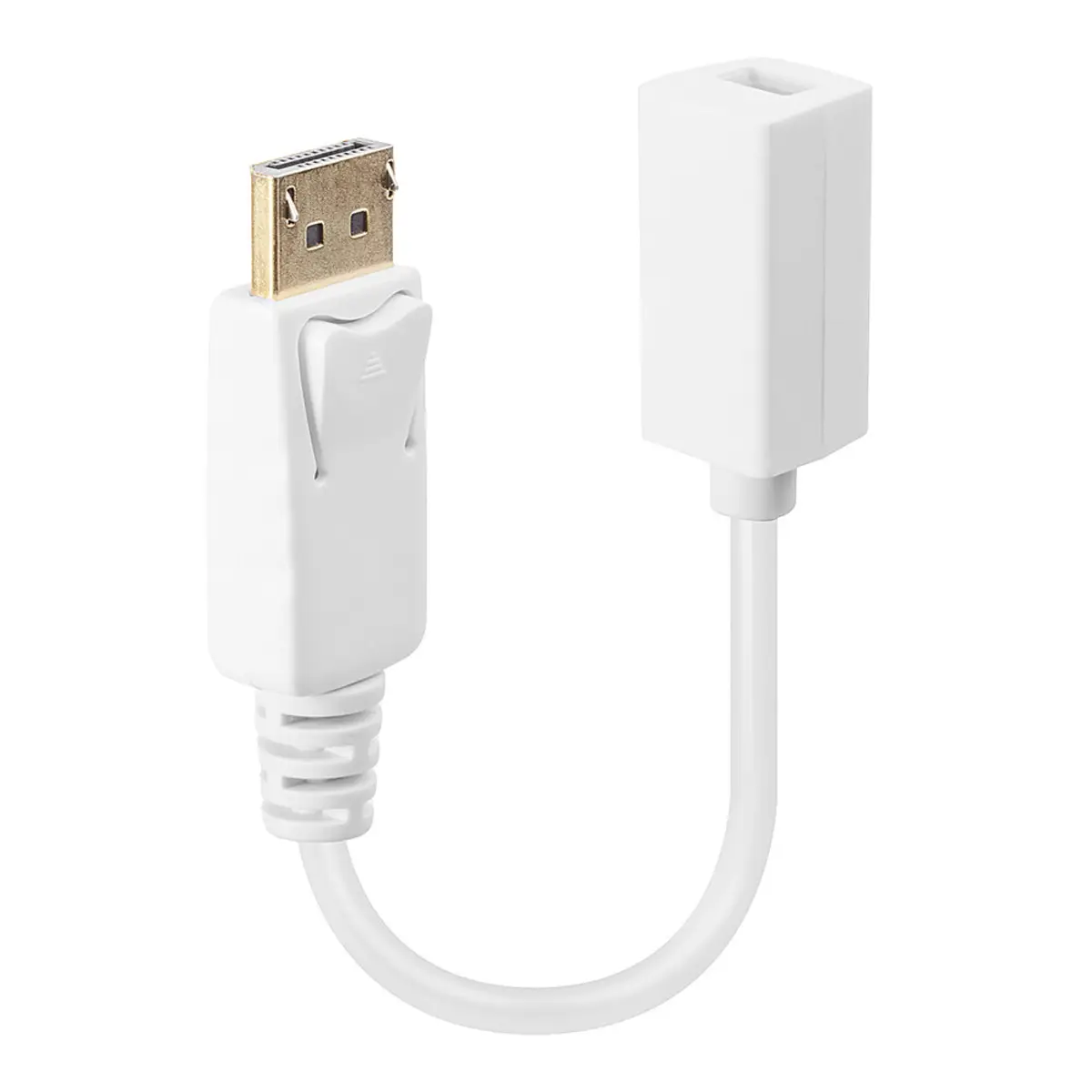 DisplayPort/Mini DisplayPort adaptor