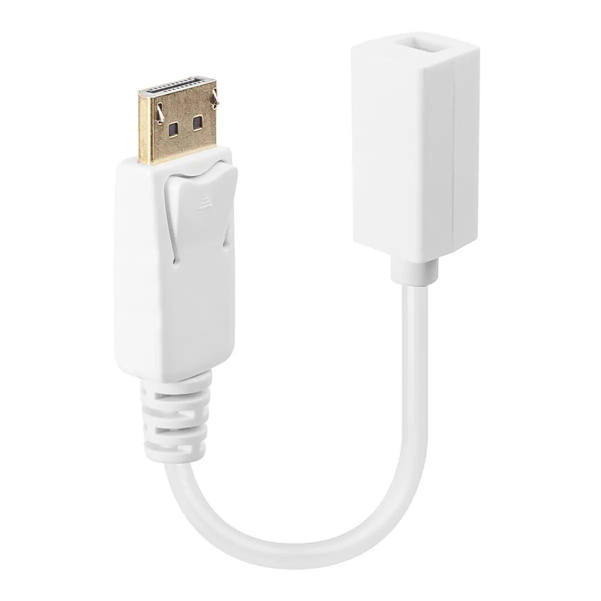 DisplayPort/Mini DisplayPort adaptor