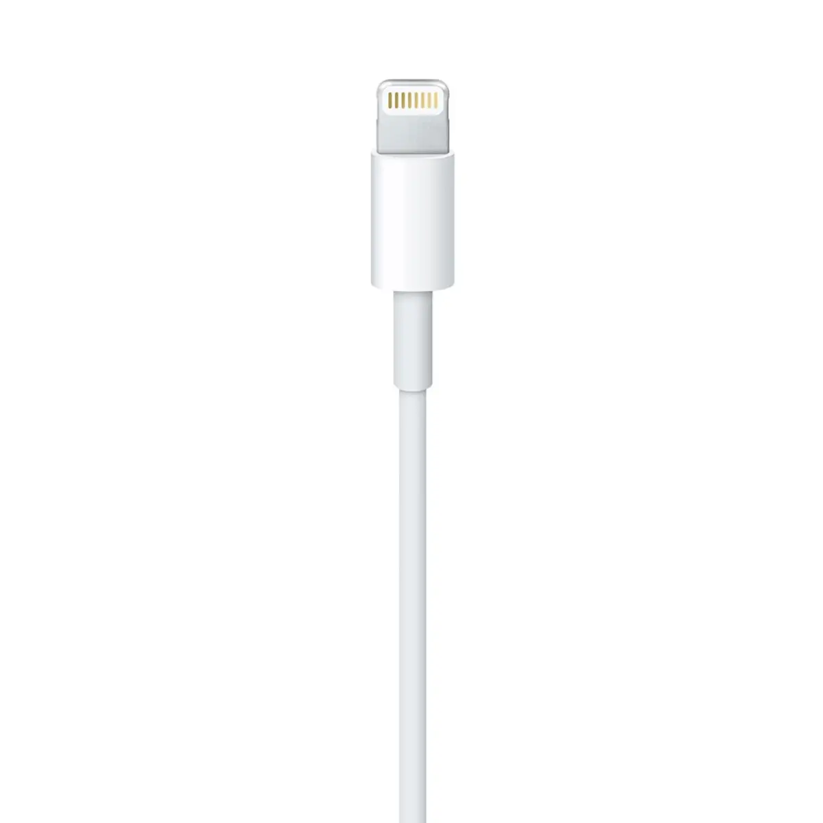 Lightning to USB cable (0,5 m)