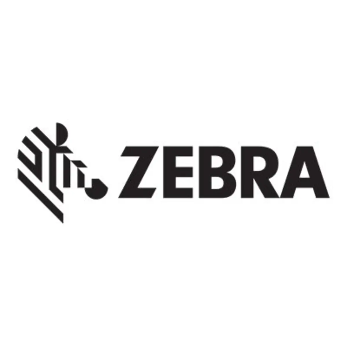 Ersatz-Druckkopf-Kit für Zebra Etikettendrucker 220Xi4