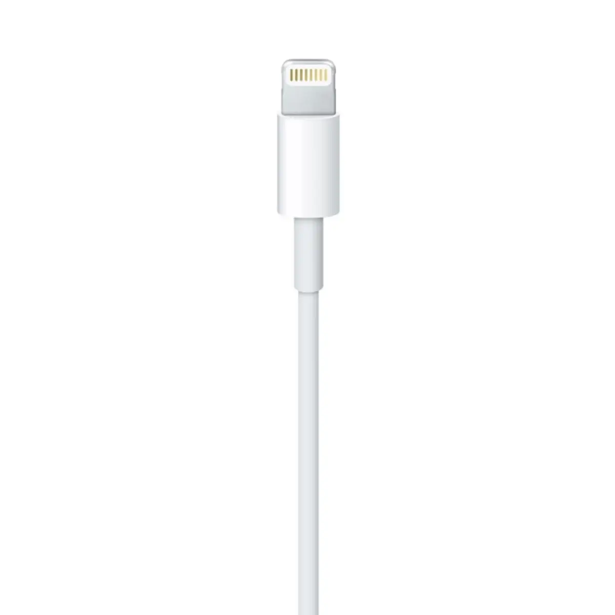 Lightning to USB cable (2 m)