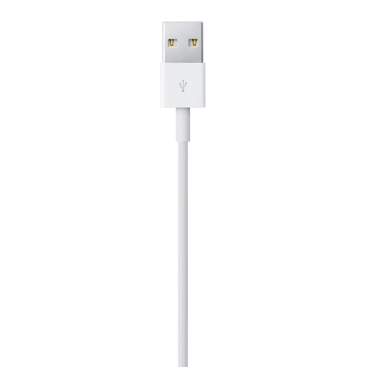 Lightning to USB cable (2 m)