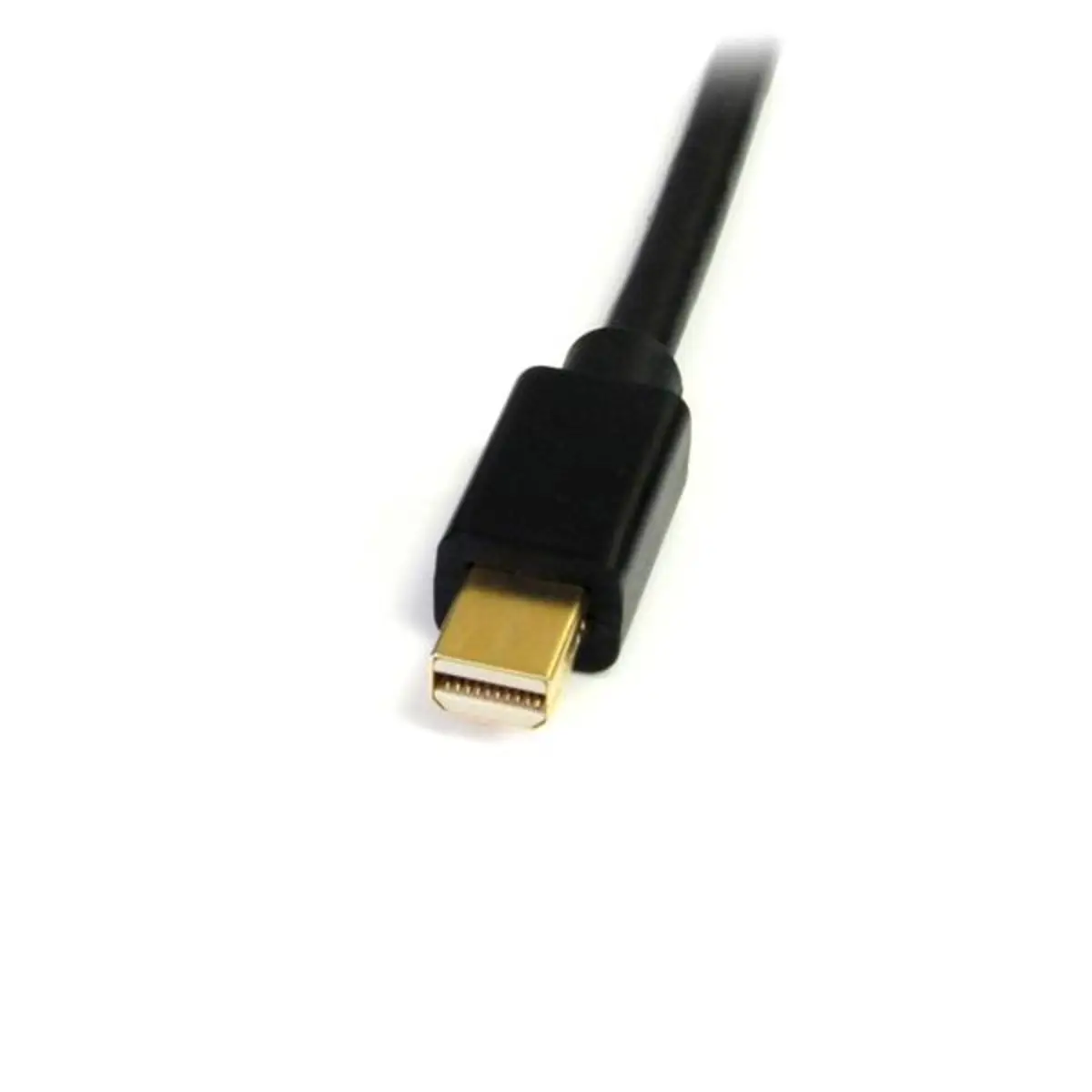 StarTech Mini DisplayPort to DVI cable black 1,8 m