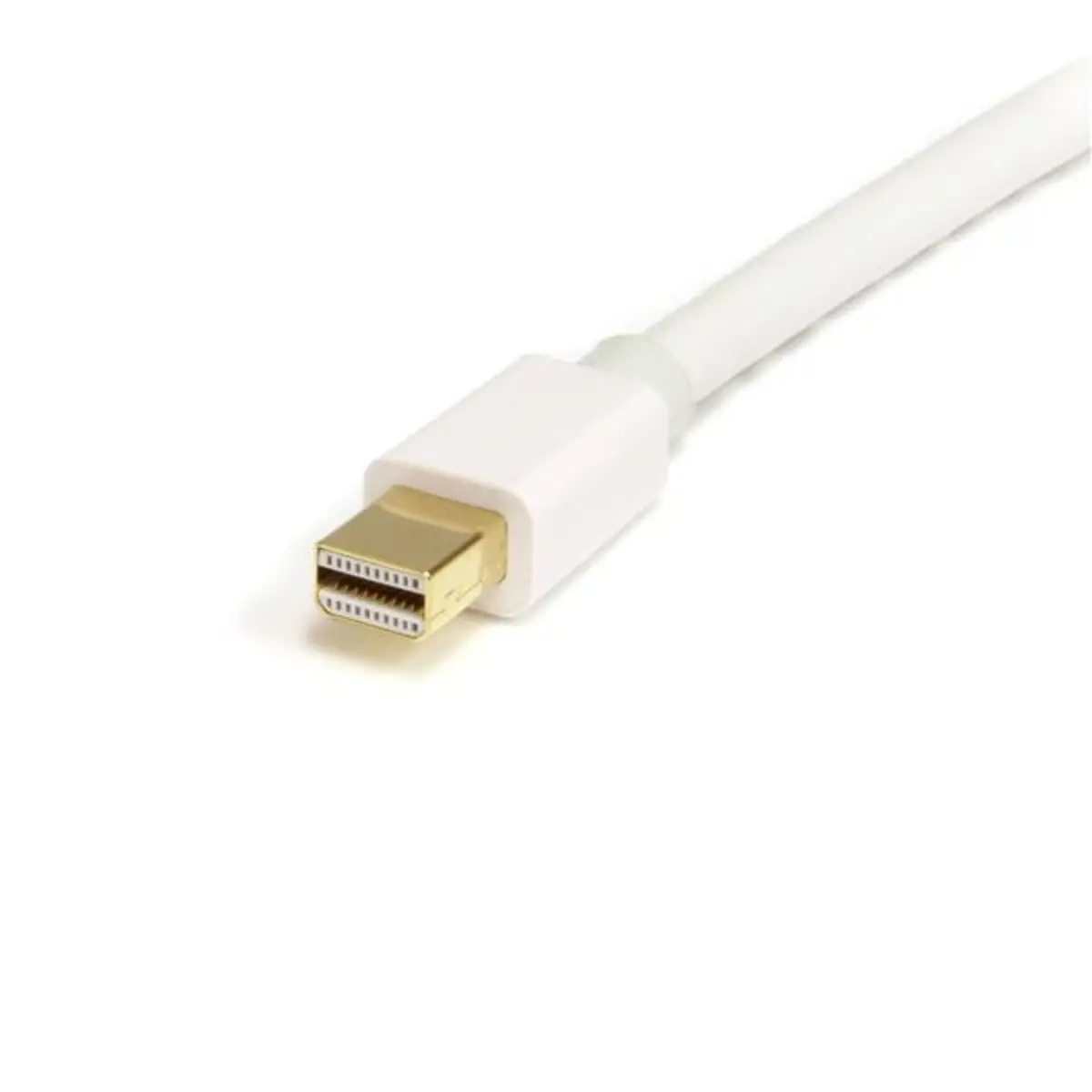 StarTech DisplayPort Mini to DisplayPort plug/plug white 1 m