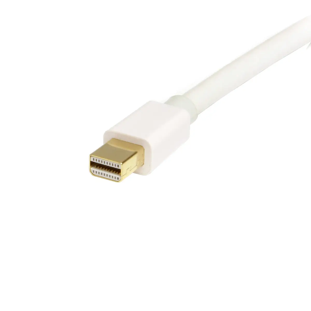 StarTech DisplayPort Mini to DisplayPort plug/plug white 1 m