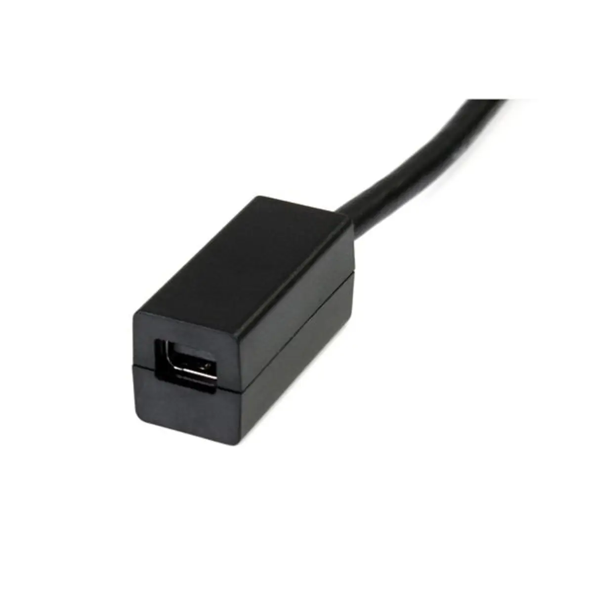 DisplayPort auf Mini DisplayPort Adapter 0,15 m