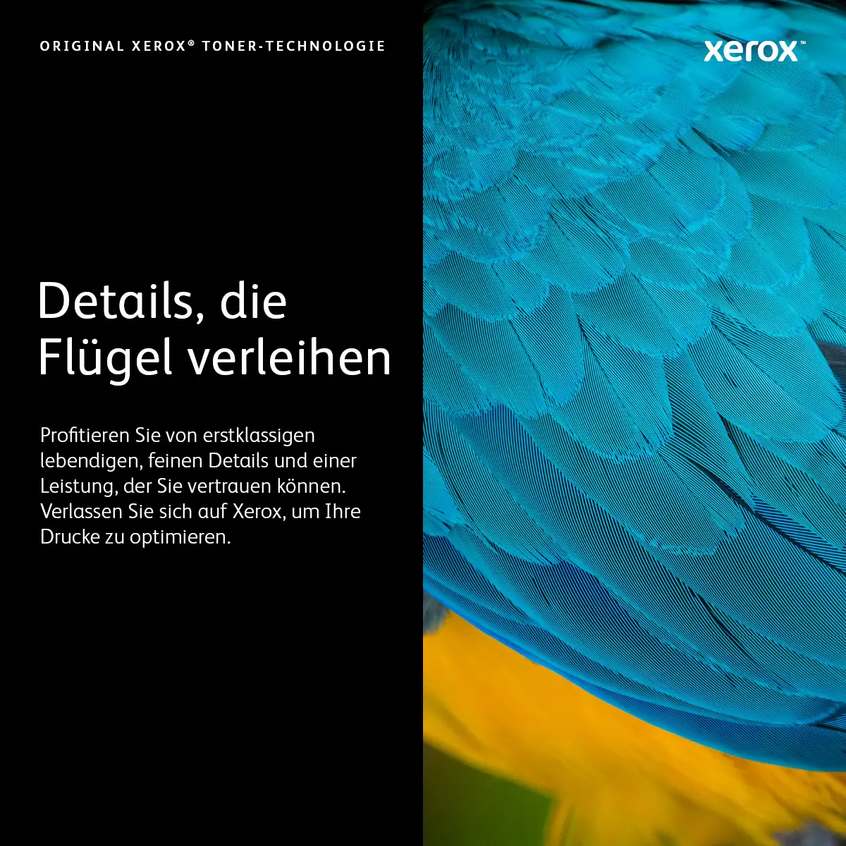 toner cartridge approx. 7000 pages yellow