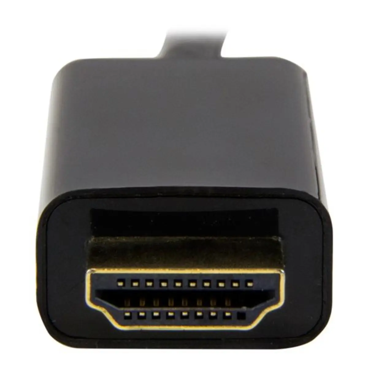 StarTech Mini DP/HDMI Converter cable 1