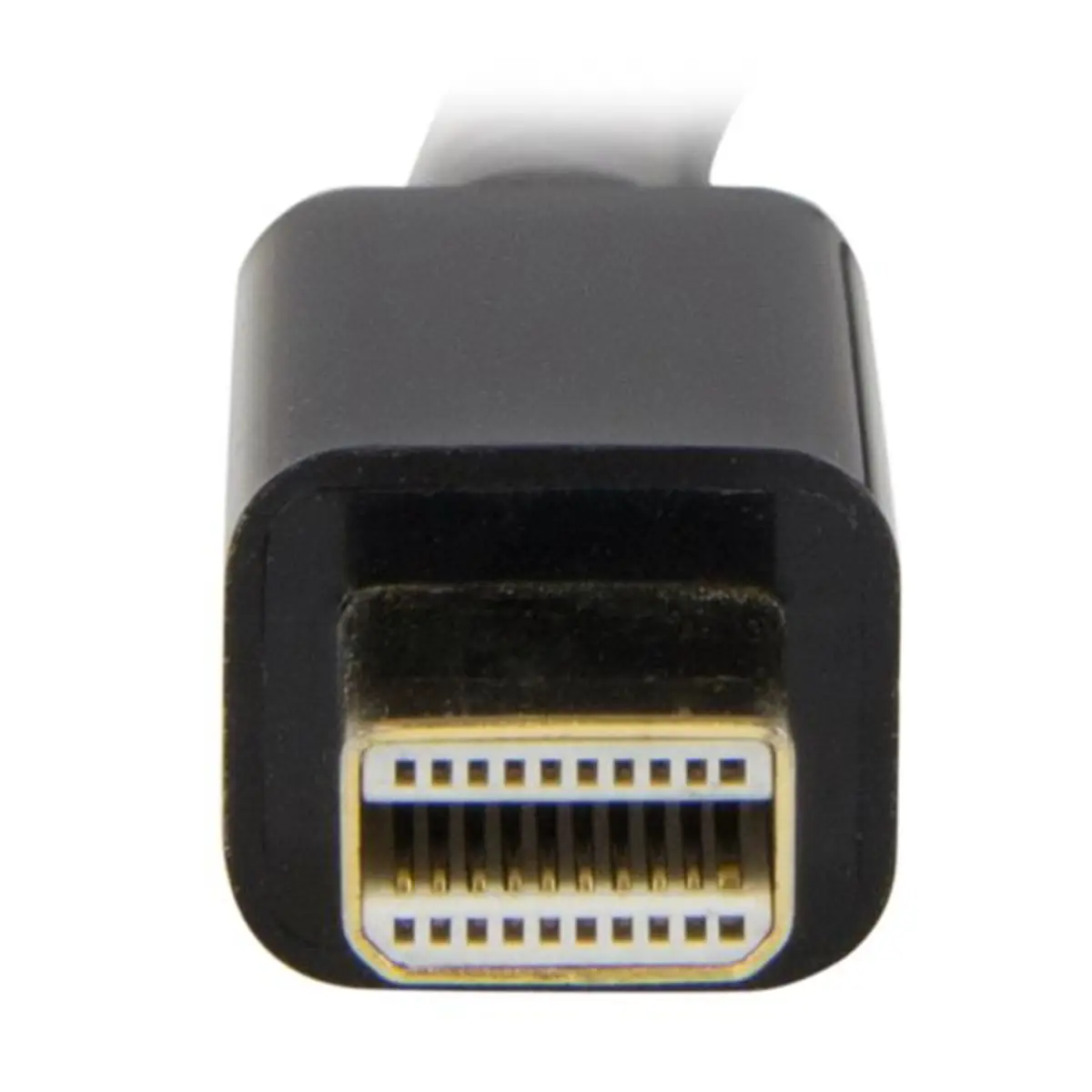StarTech Mini DP/HDMI Converter cable 1
