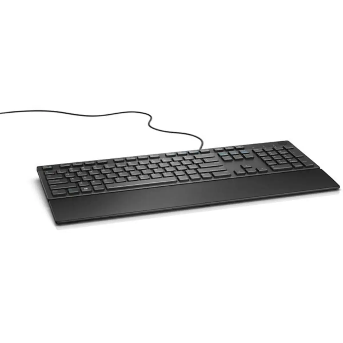 Wyse Multimedia-keyboard KB216 german black