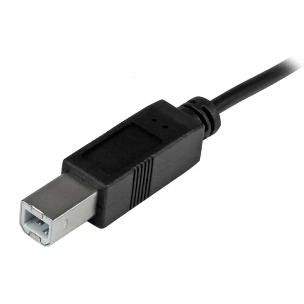 StarTech USB 2.0 USB-C to USB-B cable 1m