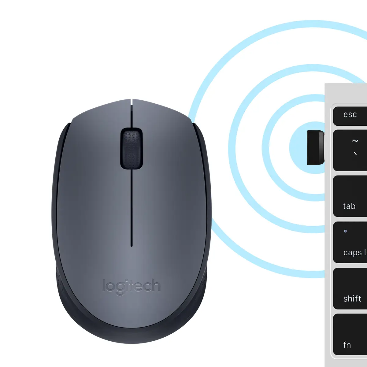 M171 anthracite Mouse 3 Keys grey inclUSB Receiver