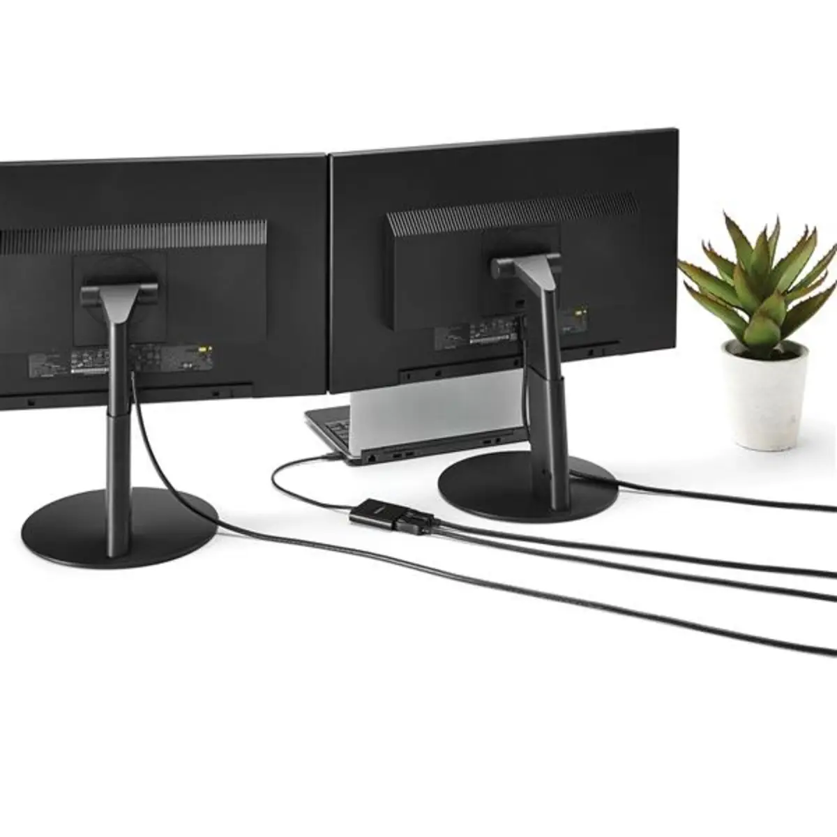 USB-C auf DisplayPort Multi-Monitor Splitter - 2-Port MST Hub