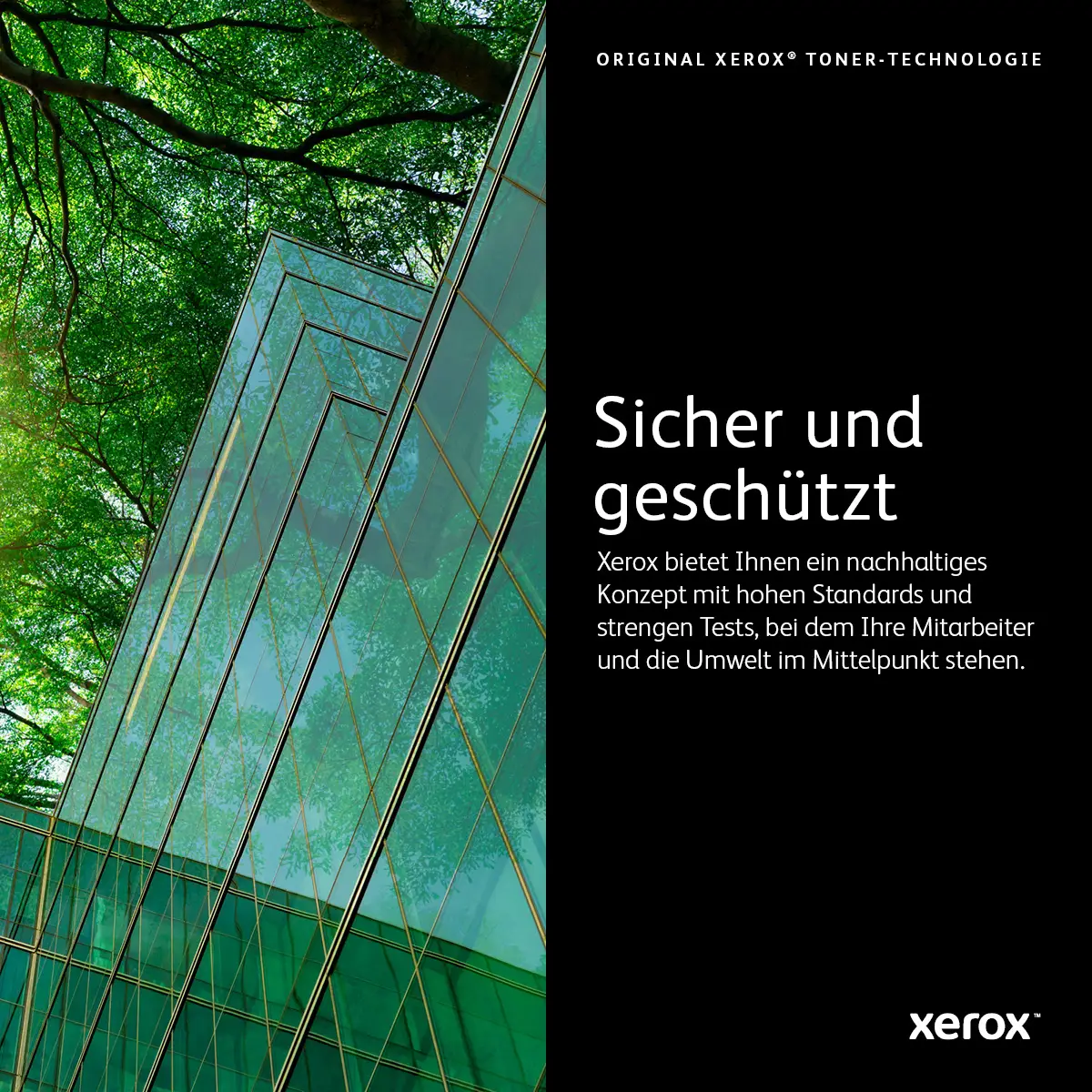 Toner 106R03517 ca. 4800 Seiten gelb