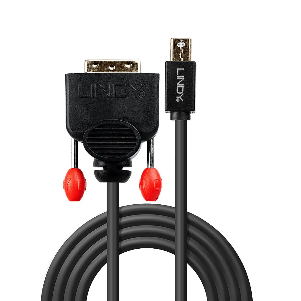 Anschlusskabel Mini DisplayPort/DVI-D Stecker/Stecker Schwarz 3m