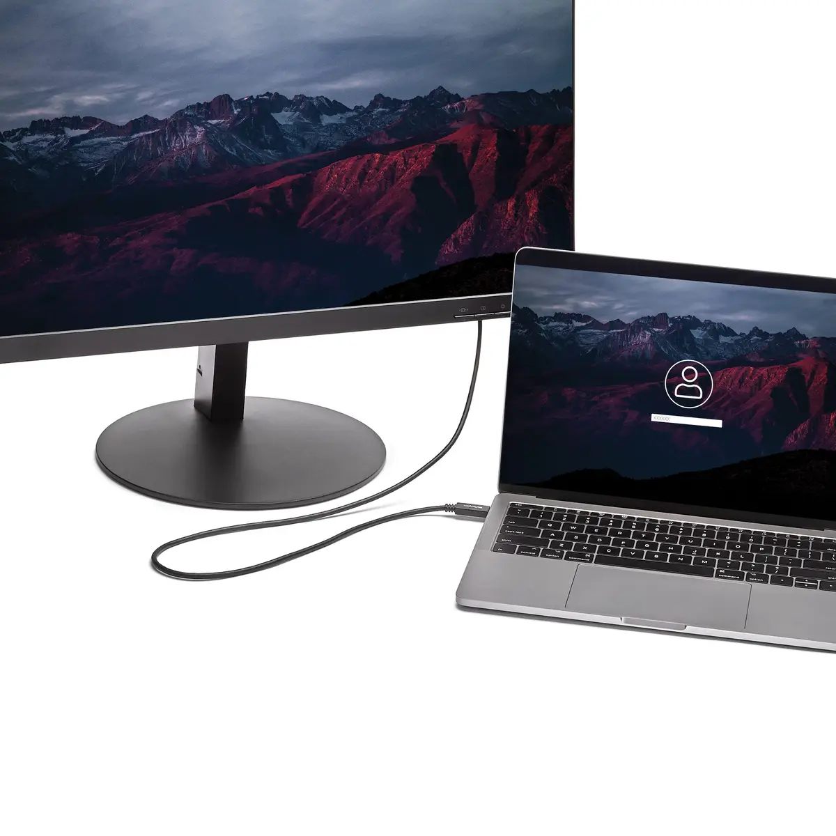 StarTech USB-C to DVI adaptorcable - 2m