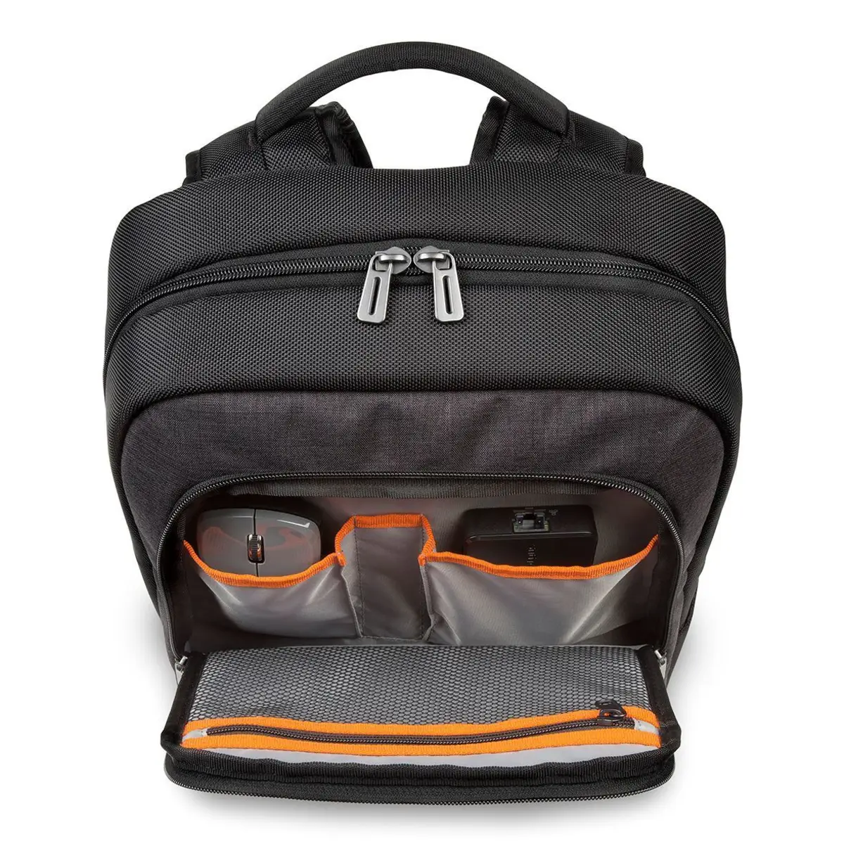 CitySmart Essential Rucksack für 39,6cm (15,6") Notebooks Polyester schwarz/grün