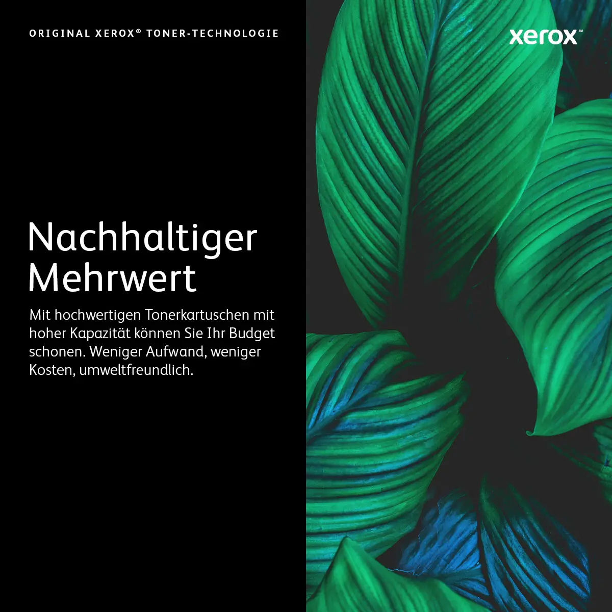 Toner 106R03759 ca. 10100 Seiten magenta