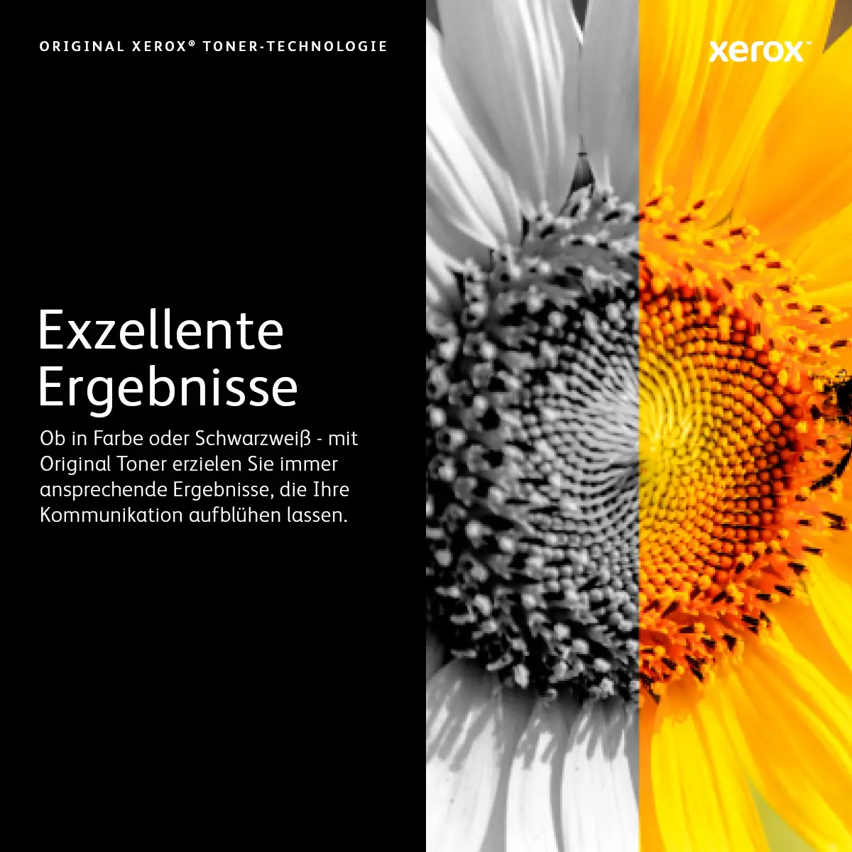 Toner 106R03739 ca. 16500 Seiten magenta