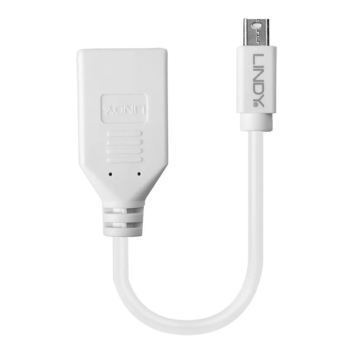 Mini-Displayport Adapterkabel Stecker/Buchse weiß