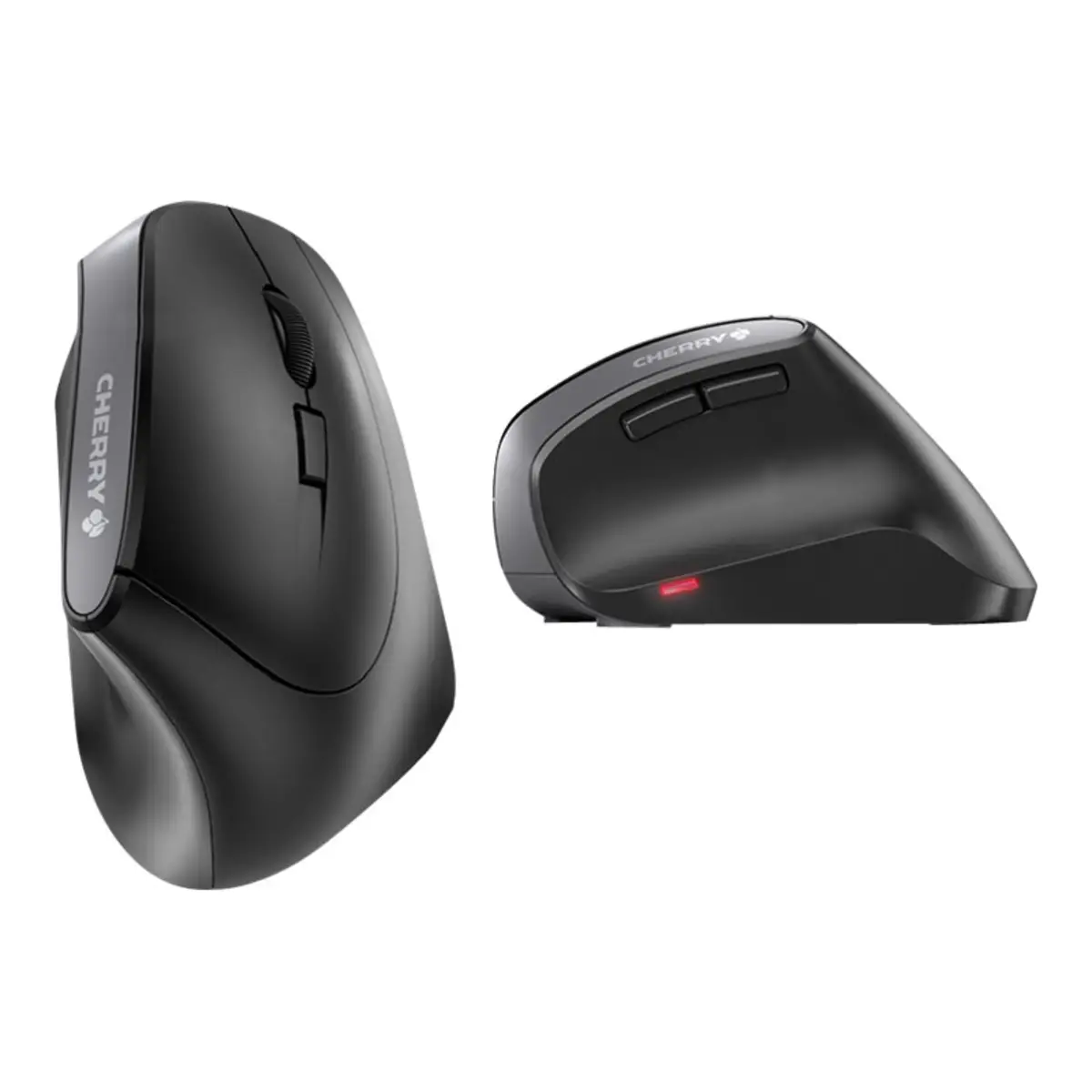 MW 4500 Wireless Ergnomic Mouse USB schwarz