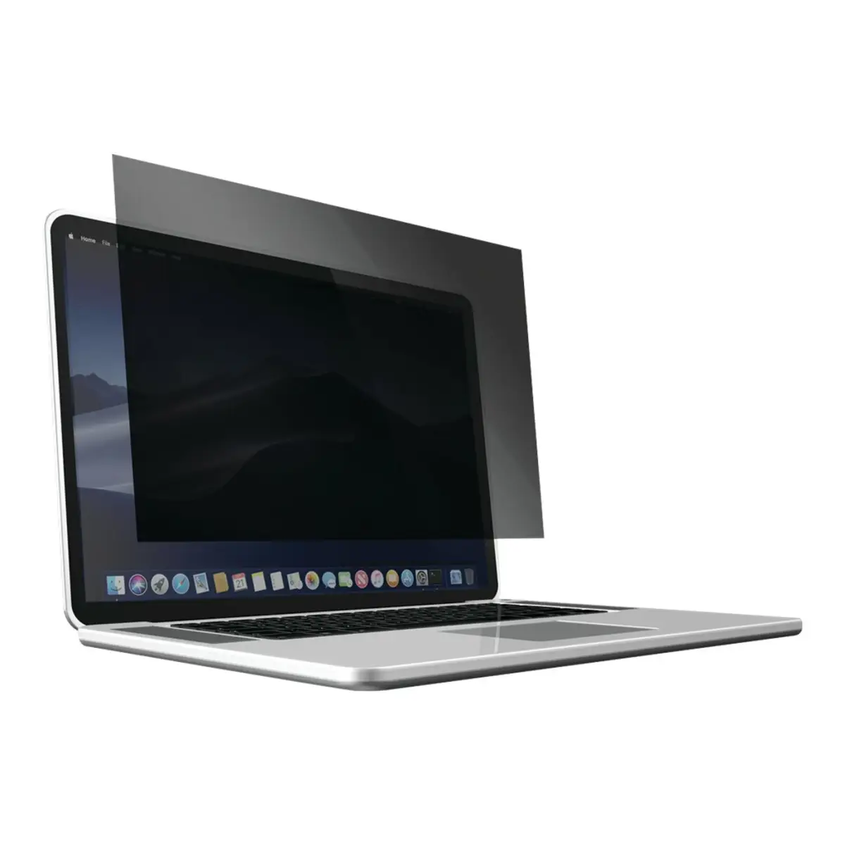 Blickschutzfilter 2-fach, abnehmbar für 14,1" Laptops 16:10