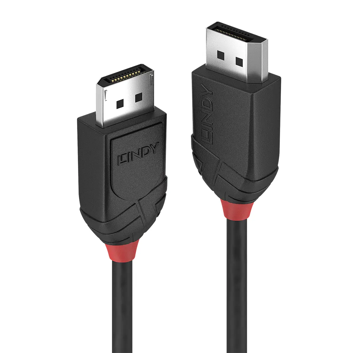 DisplayPort Kabel Basic Stecker/Stecker Schwarz 1m