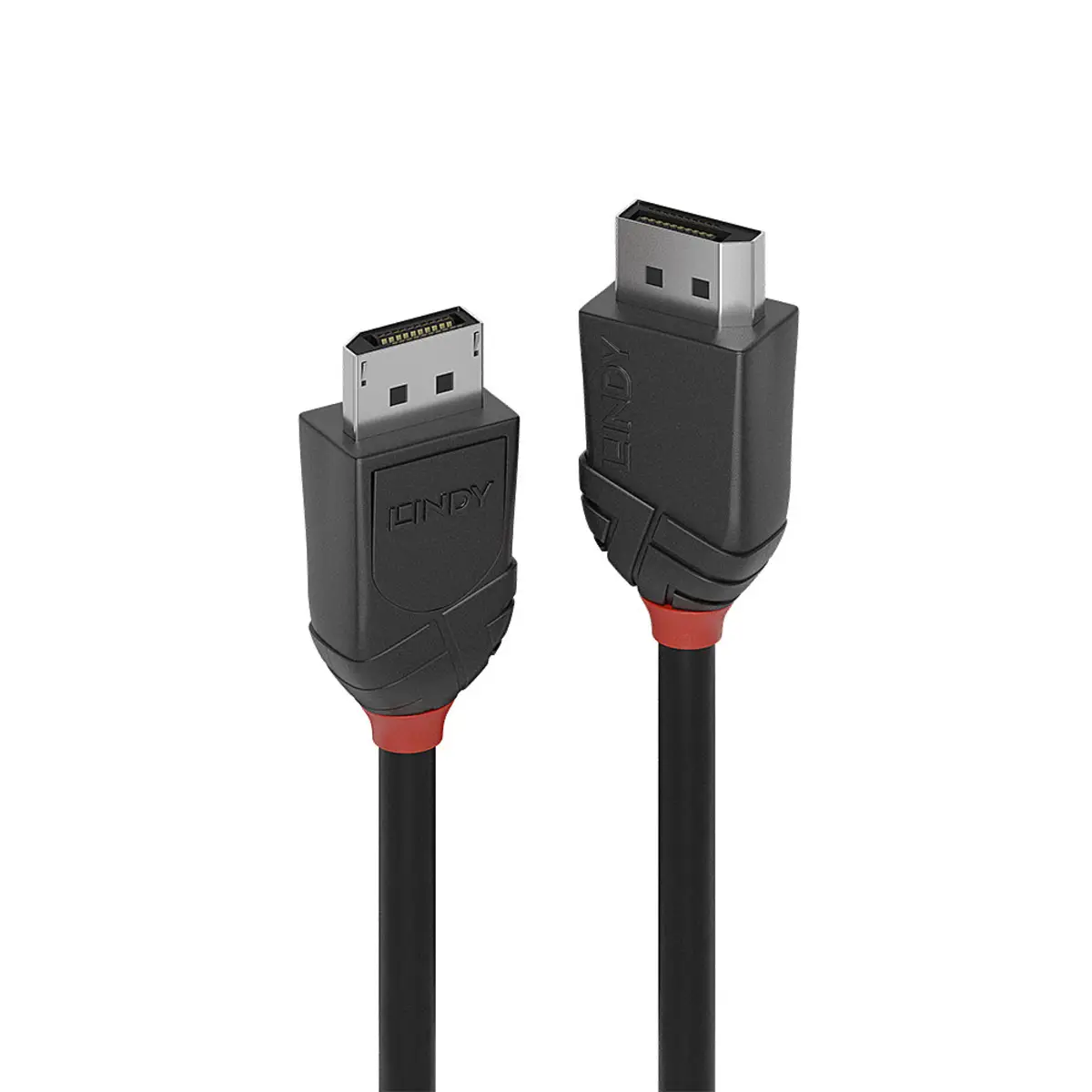 DisplayPort Kabel Basic Stecker/Stecker Schwarz 1m