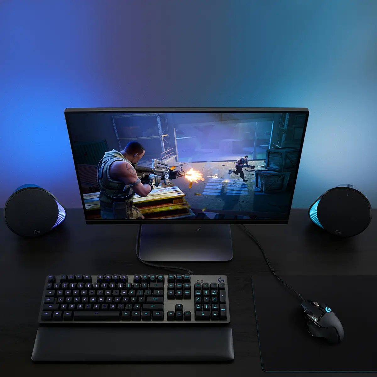 Gaming Mouse G502 (Hero) Maus optisch 11
