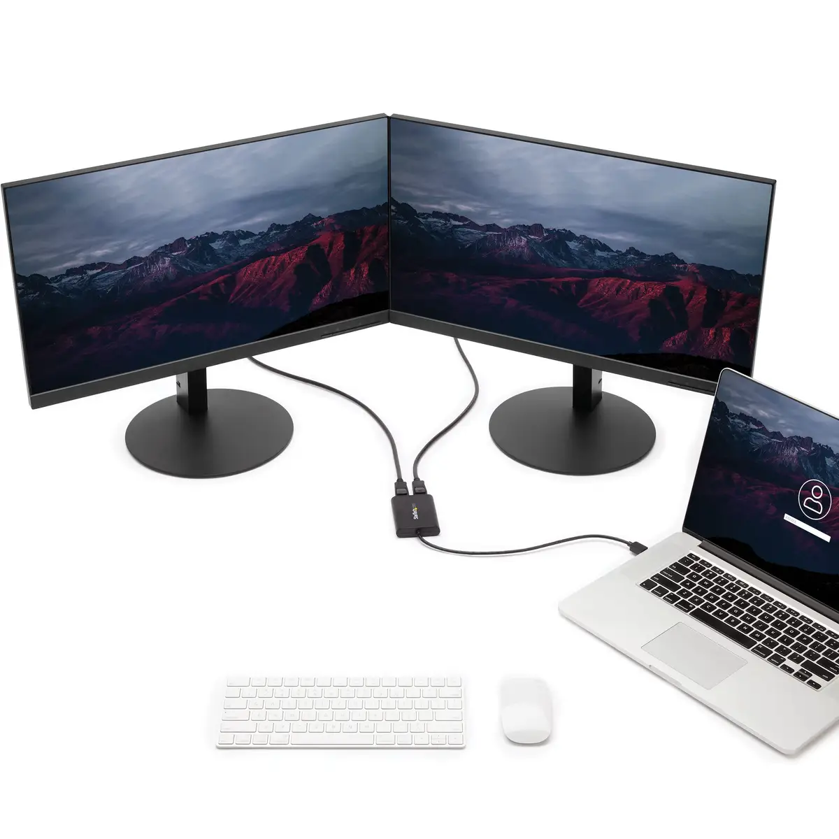 USB zu Dual DisplayPort Adapter