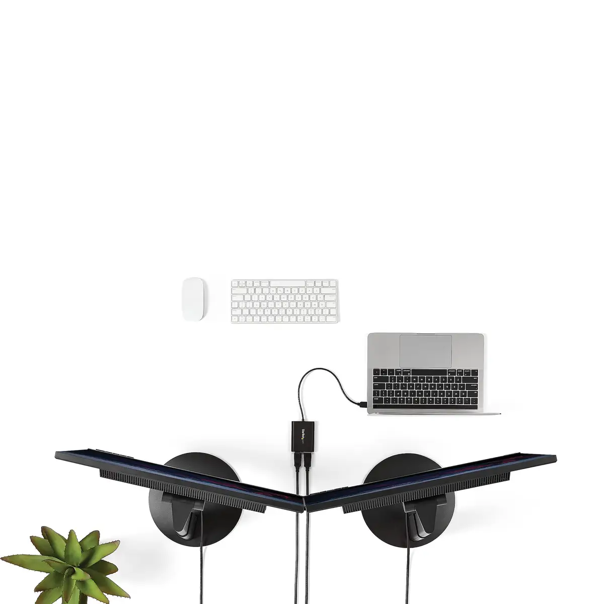 USB zu Dual DisplayPort Adapter