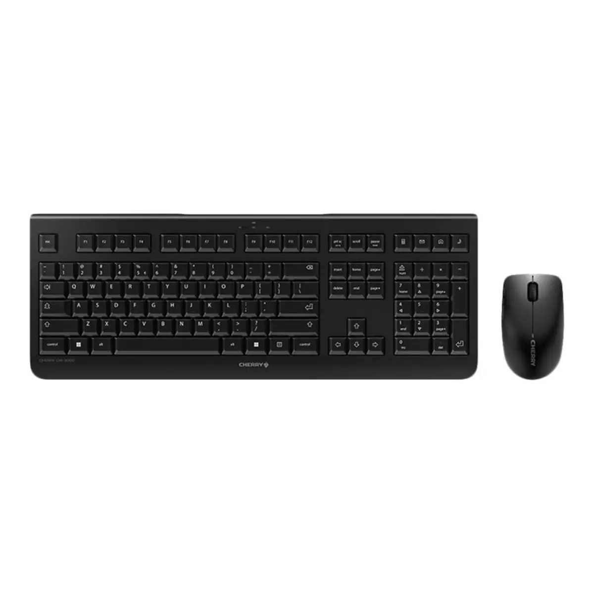 Tastatur-Maus-Set DW 3000 USB schwarz Tastatur-Layout US-Englisch / international