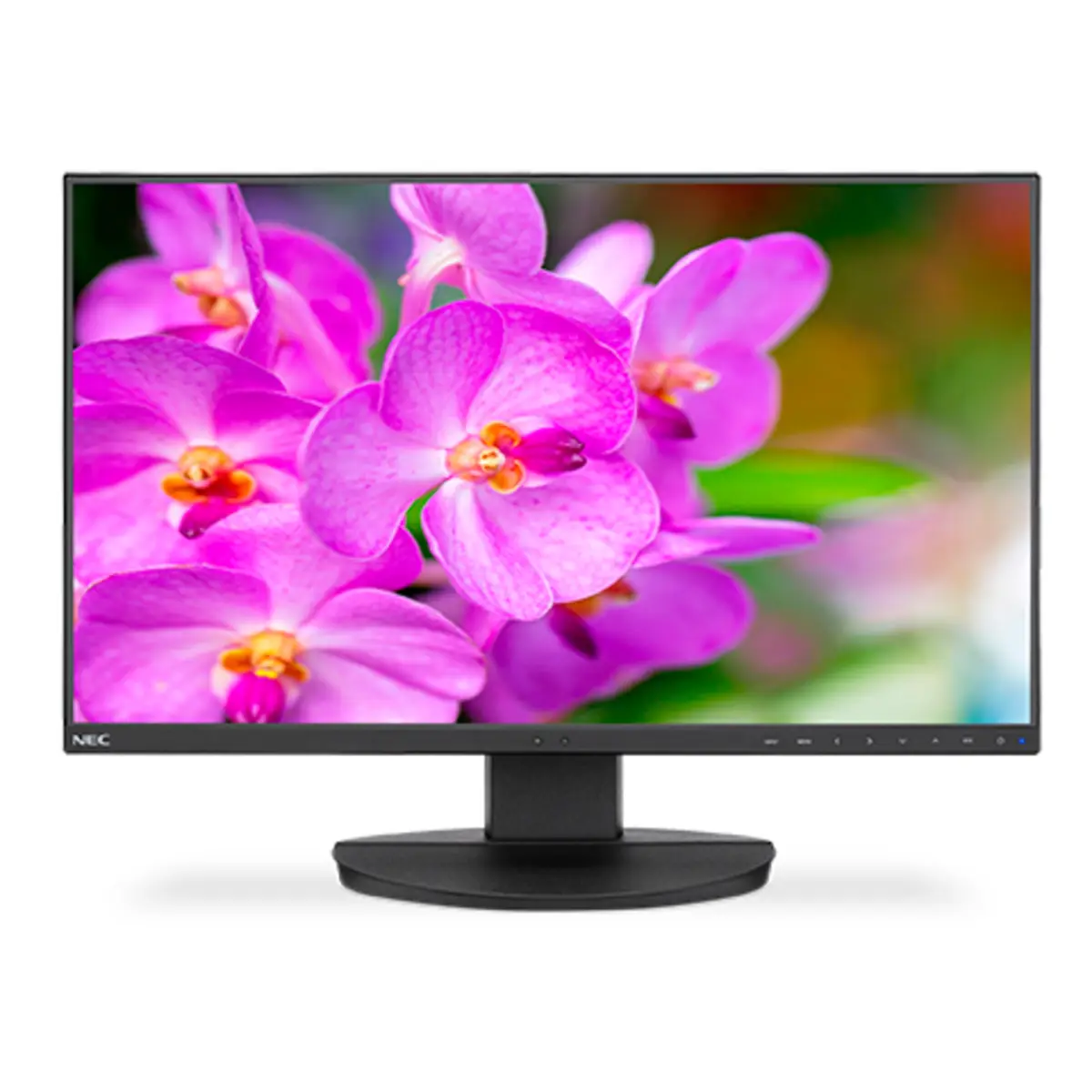 MultiSync EA241F 60.96 cm (24") Display 1920x1080 Display 250 cd/m² 1000:1 5 ms Schwarz