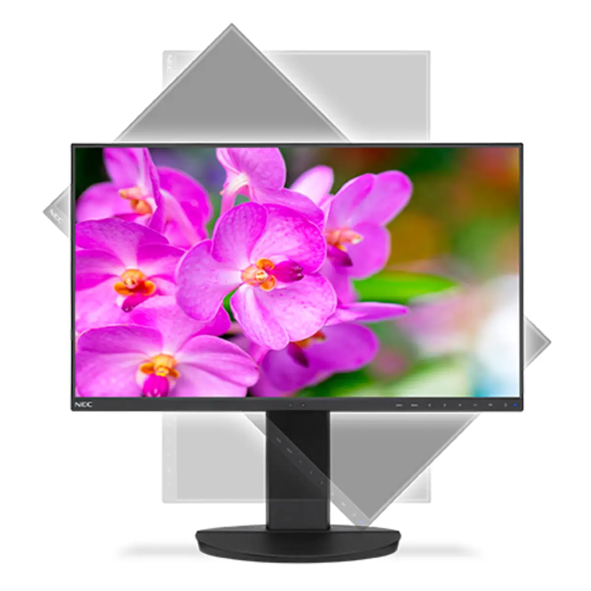 MultiSync EA241F 60.96 cm (24") Display 1920x1080 Display 250 cd/m² 1000:1 5 ms Schwarz