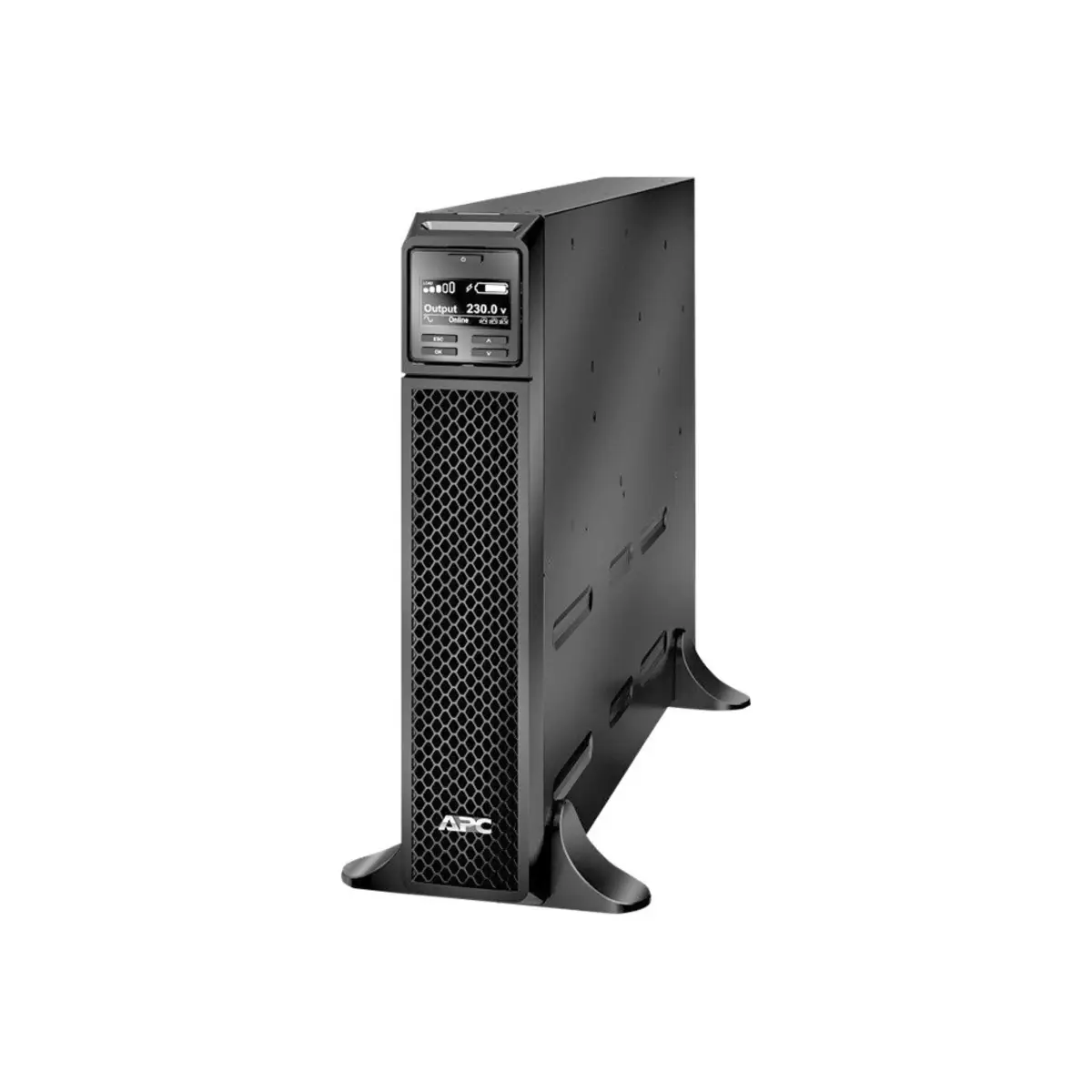 SRT1000XLI, Doppelwandler (Online), 1 kVA, 1000 W, Sine, 220 V, 240 V