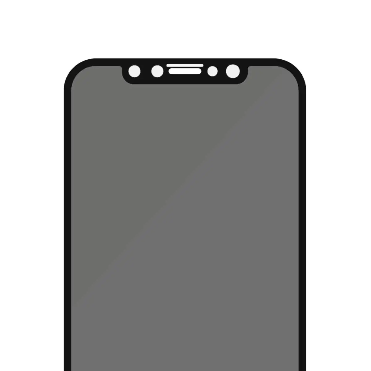 Apple iPhone XR/11 Black - Privacy