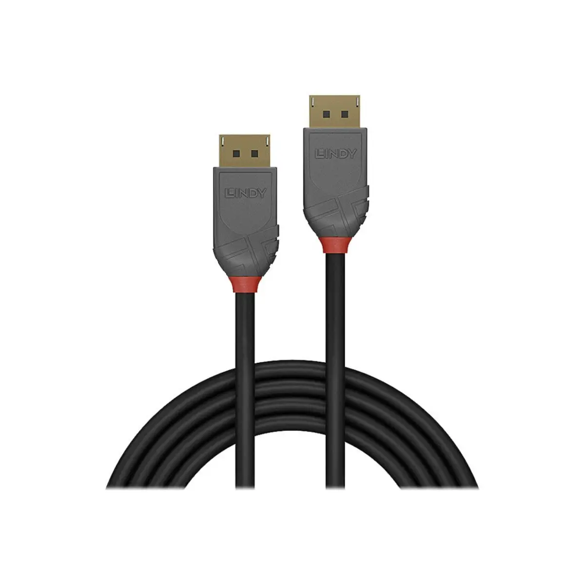Anthra Line DisplayPort-Anschlusskabel Stecker/Stecker Schwarz 15m