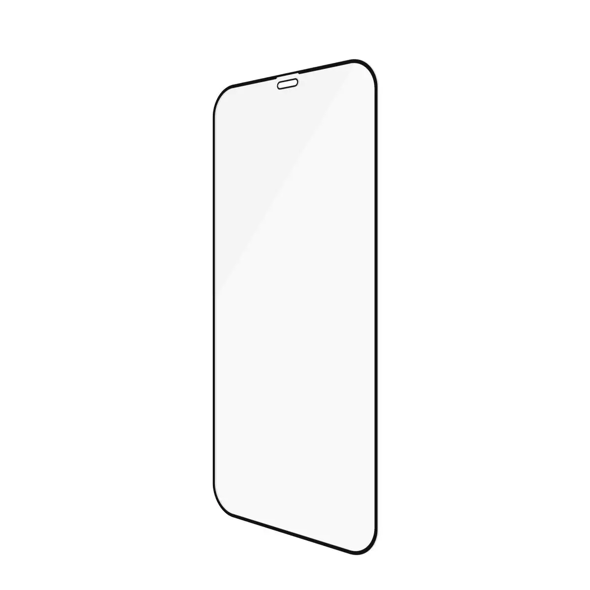 für iPhone 12 Pro Max