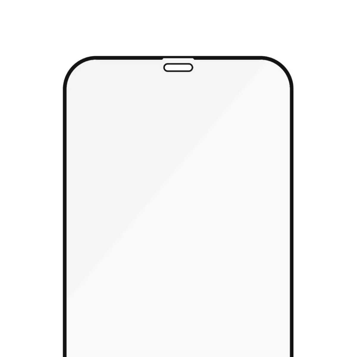 für iPhone 12 Pro Max