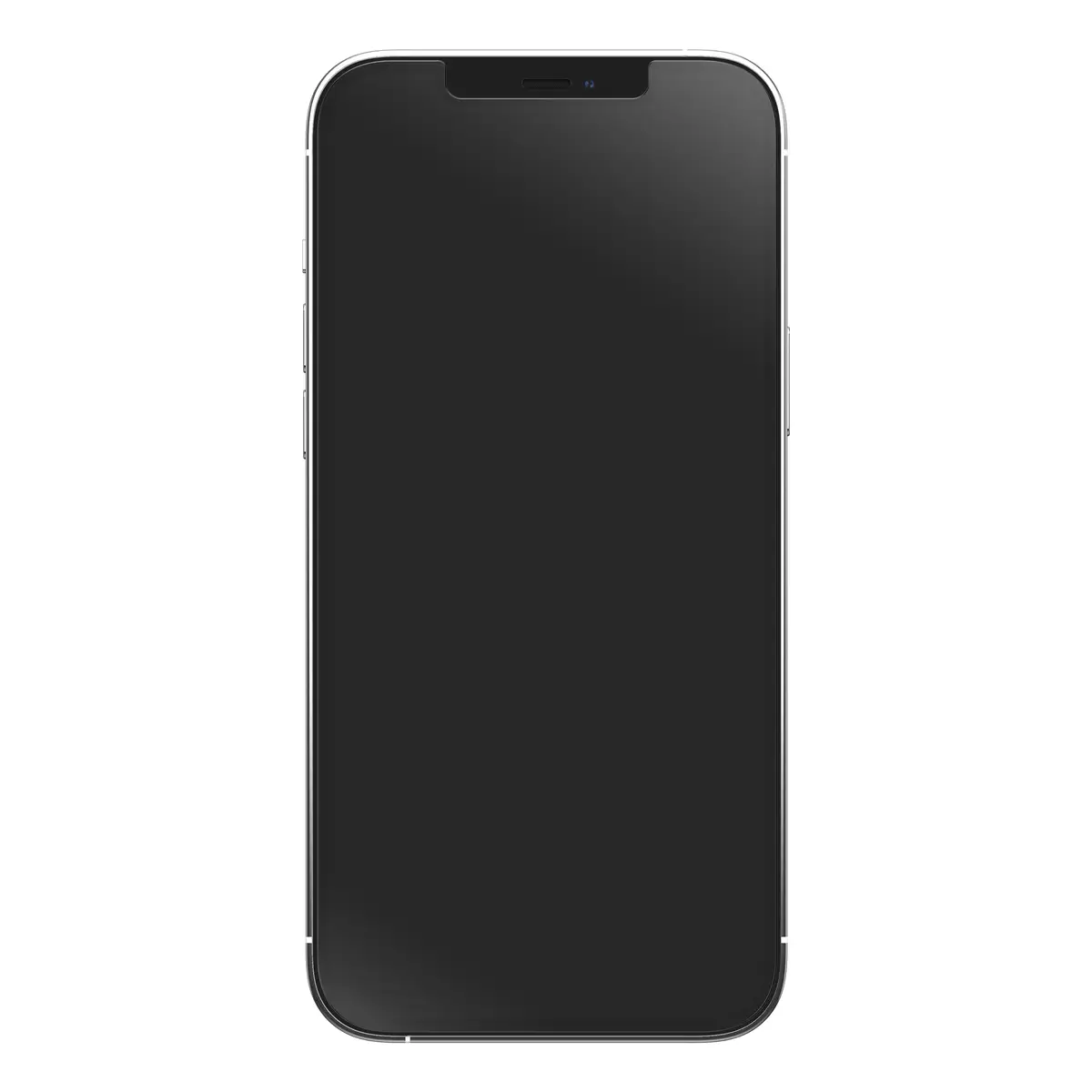 Amplify Anti-Microbial iPhone 12 Pro Max - transparent