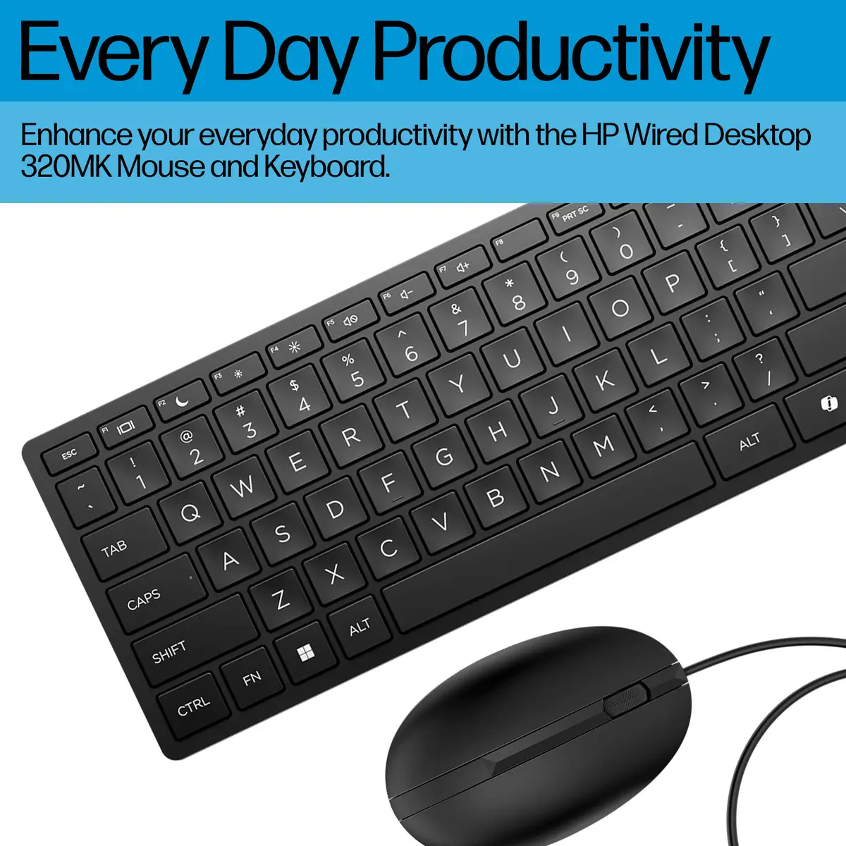 Wired Desktop 320MK Maus und Tastatur, Volle Größe (100%), Kabelgebunden, USB, Schwarz, Maus enthalten