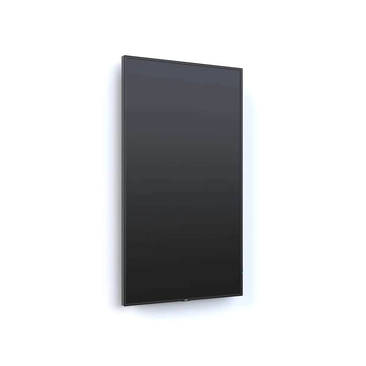 Display MultiSync P495 124.5cm (49") Display 3840x2160 Pixel 700 cd/m² 8000:1 8ms Schwarz