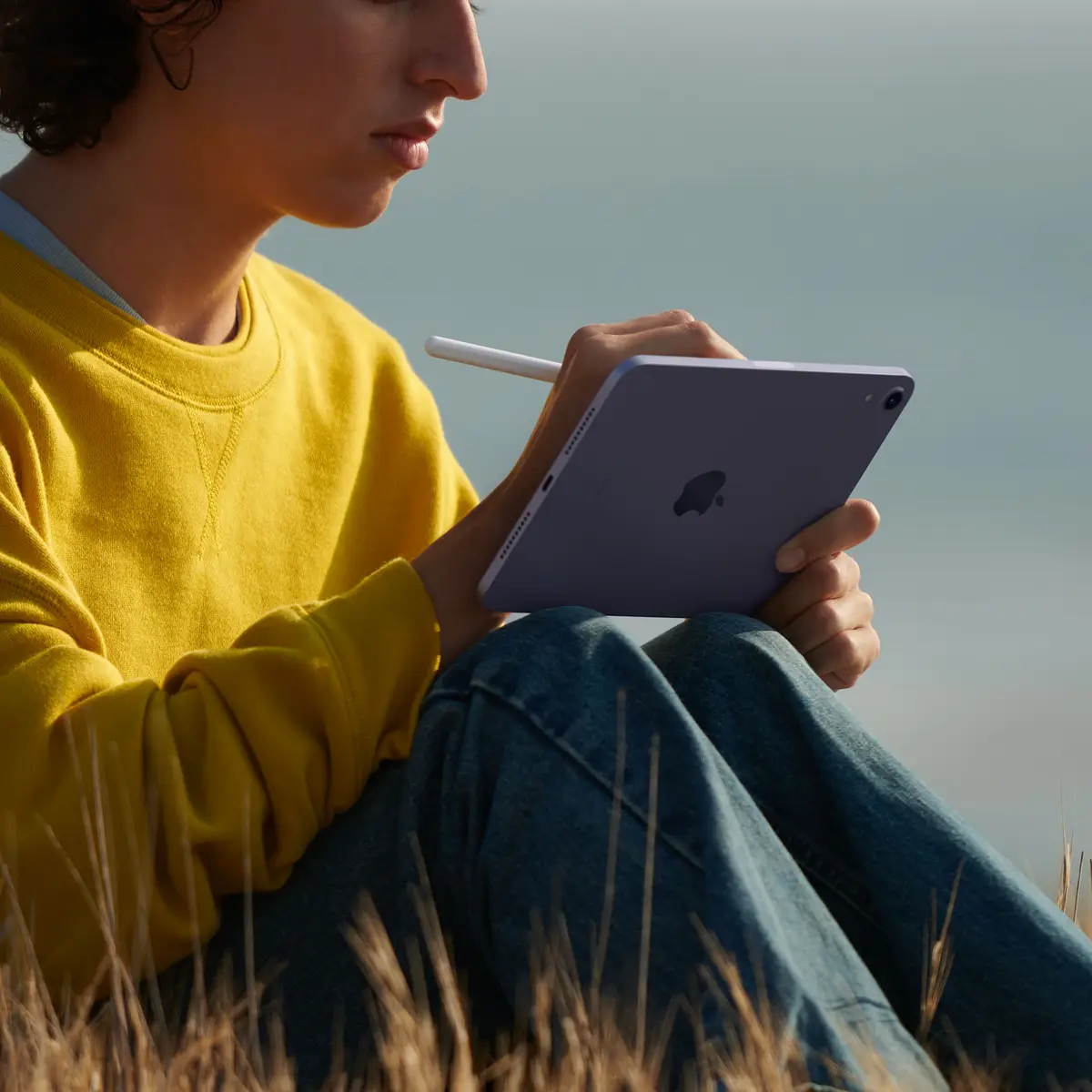 iPad mini (2021) 8,3" 256GB WiFi rose