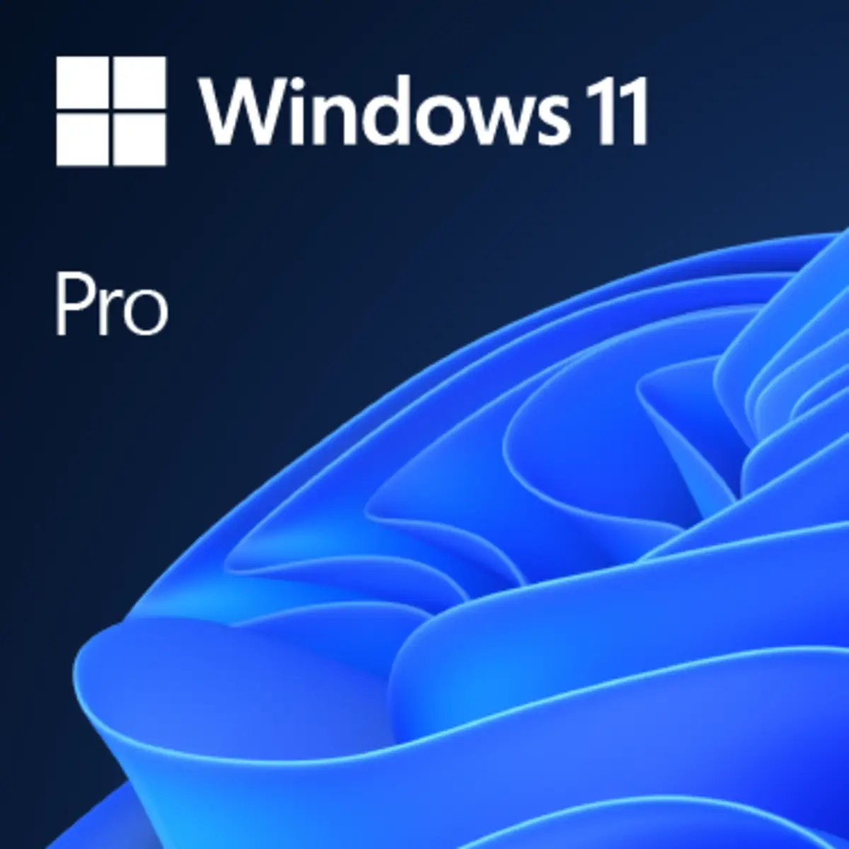 SB MS Windows 11 Professional 64-bit Vollversion DVD Englisch (Systembuilder)
