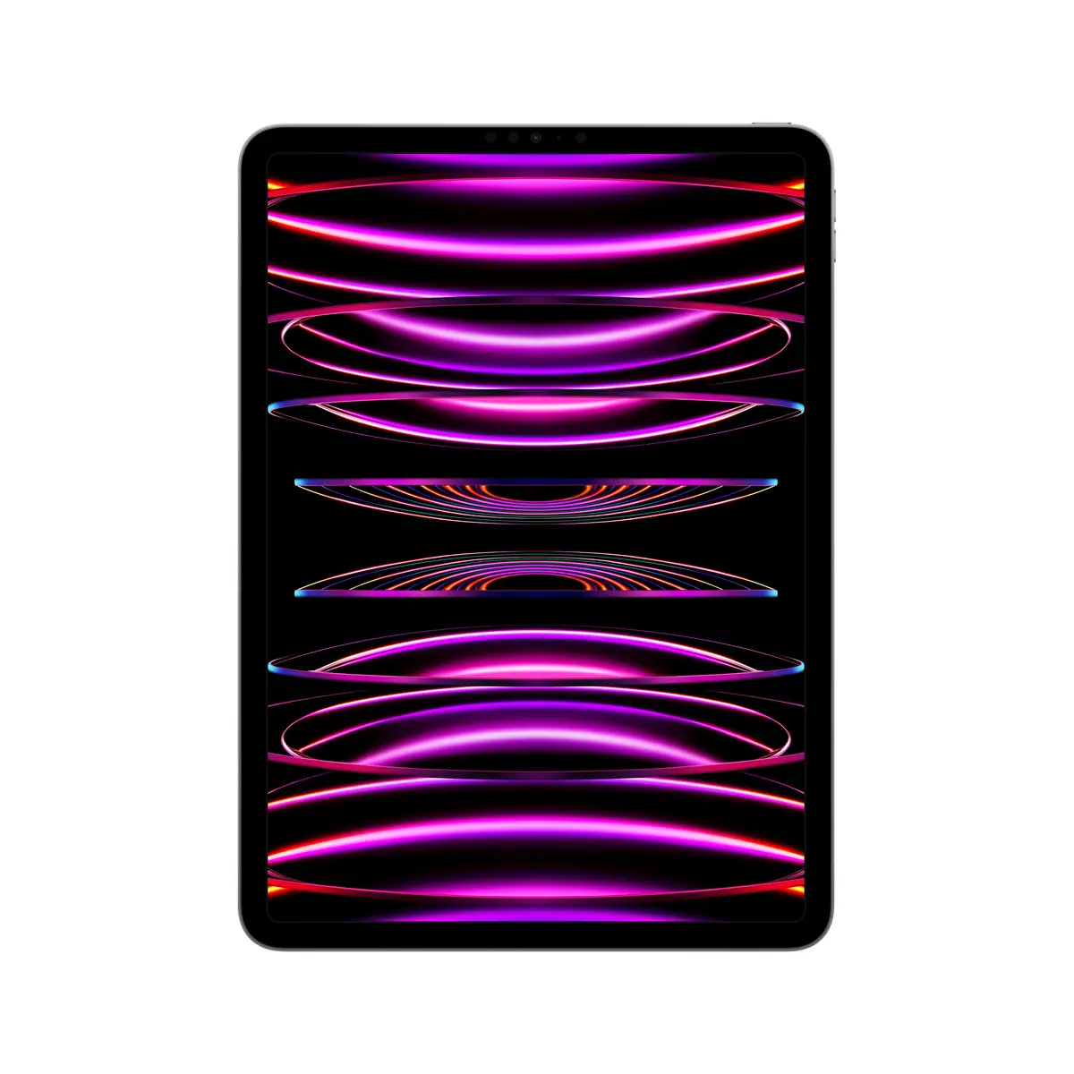 iPad Pro (2022) 12,9" 1TB WiFi+Cellular space grau